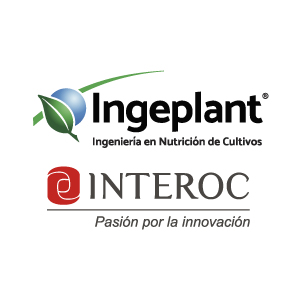 INGEPLANT-100