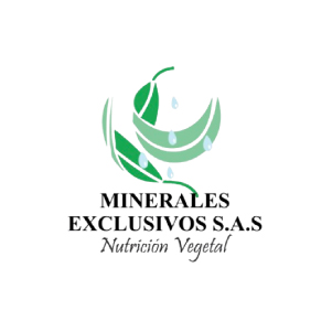 MINERALES EXCLUSIVOS-100