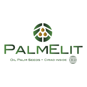 PALMELIT
